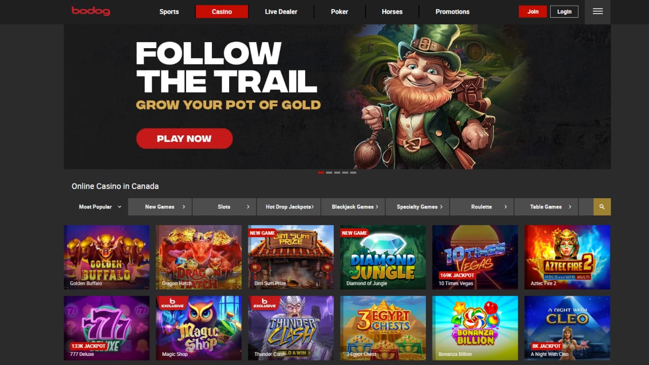 Bodog Online Casino Games