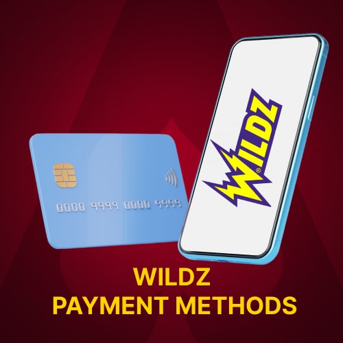 Wildz payment methods